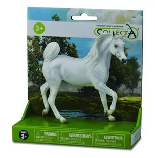 Collecta Koń czystej krwi arabskiej - Figurki dla dzieci - miniaturka - grafika 1