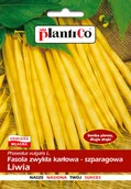 Nasiona i cebule - NASIONA Fasola Szparagowa Karłowa Liwia 40g PLANTICO Żółta 407718 - miniaturka - grafika 1