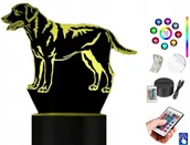 Lampy pozostałe - Lampka na biurko Pies Labrador 16kol. LED PLEXIDO - miniaturka - grafika 1