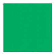 Papier do drukarek - Argo Brystol A1 zielony A"20 - miniaturka - grafika 1