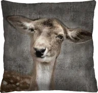 Kołdry i poduszki dla dzieci - Bertoni-arco Poduszka - LUCKY 40x40 cm - miniaturka - grafika 1