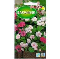 Nasiona i cebule - BARWINEK mniejszy mieszanka kolorów nasiona 0,2g - miniaturka - grafika 1