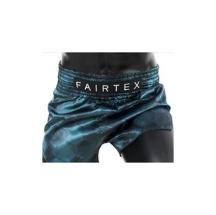 Fairtex Spodenki Tajskie Muay Thai BS1902 Grey - Spodnie sportowe męskie - miniaturka - grafika 1