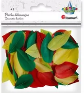 Prace ręczne dla dzieci - Piórka dekoracyjne czerwone żółte zielone 4g Titanum 396534 - miniaturka - grafika 1