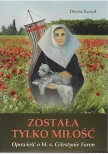 Została tylko miłość - Religia i religioznawstwo - miniaturka - grafika 1