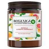 Świece - Botanica by Air Wick - Zapachowa świeca zapachowa, zapachowa grejpfrut i marokańska mięta zapachowa - miniaturka - grafika 1