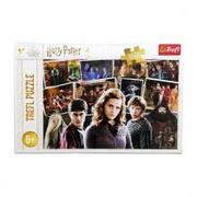 Puzzle - Puzzle 160 Harry Potter i przyjaciele TREFL - miniaturka - grafika 1