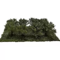 MiniNatur Letnie krzewy z gotowym podłożem 3 cm - Akcesoria do gier planszowych - miniaturka - grafika 1