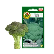 Nasiona i cebule - Brokuł 'Cezar' odmiana wczesna Świeże Nasiona Naturalne 2G - miniaturka - grafika 1