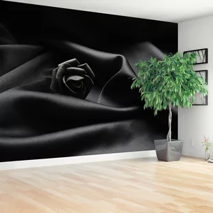 Fototapeta Czarna róża - Fototapety - miniaturka - grafika 1