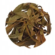 Herbata - Jemioła Viscum album EKO liść gąłązki owoc 50g - miniaturka - grafika 1