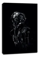 Obrazy i zdjęcia na płótnie - Star Wars Gwiezdne Wojny TIE pilot - obraz na płótnie Wymiar do wyboru: 40x60 cm - miniaturka - grafika 1