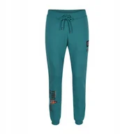 Dresy męskie - Męskie Spodnie PROGRESSIVE JOGGER L - miniaturka - grafika 1