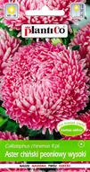 Nasiona i cebule - Aster chiński peoniowy wysoki różowy nasiona 1g PlantiCo - miniaturka - grafika 1