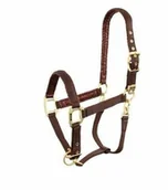 Kantary dla koni - Anky  Technical Casual Kantar ATH221001 SS 2022 - ANKY - rum raisin - miniaturka - grafika 1