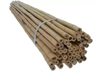 Tyczki bambusowe 240 cm 30/35 mm /30 szt/ DEKOR - Ogrodzenia - miniaturka - grafika 1