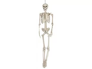 Guirca Dekoracja wisząca Szkielet - 160 cm - 1 szt. GU26044 - Halloween - miniaturka - grafika 1