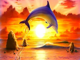 Malowanie po numerach. Delfin na tle zachodu słońca 40 x 50cm 5552 - Norimpex - Malowanie po numerach - miniaturka - grafika 1