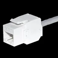 Pozostałe akcesoria sieciowe - Moduł keystone Jack RJ45 kat. 6 UTP, - miniaturka - grafika 1