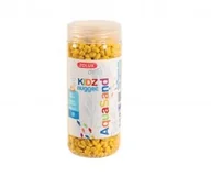 Podłoże do akwarium - Zolux Zolux Aquasand KIDZ Nugget 500 ml kol. żółty - miniaturka - grafika 1