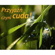 Religia i religioznawstwo - Edycja Świętego Pawła praca zbiorowa Perełka 140 - Przyjaźń czyni cuda - miniaturka - grafika 1