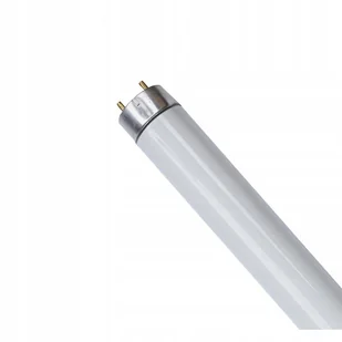 Świetlówka jarzeniówka T8 230V G13 10W 3000K 345mm - Żarówki tradycyjne - miniaturka - grafika 1