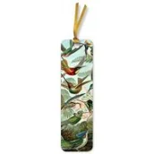 Zakładki do książek - Flame Tree Zakładka do książki BKMK82 Kolibry Ernst Haeckel - miniaturka - grafika 1