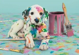 Puzzle 500 Compact The Funny Dalmatian - Puzzle - miniaturka - grafika 1