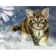 Malowanie po numerach - Norimpex Diamentowa mozaika Kotek 1005250 - miniaturka - grafika 1