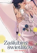 Komiksy dla młodzieży - Zaślubiny świetlików. Tom 1 - miniaturka - grafika 1