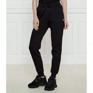 Dresy damskie - Armani Exchange Spodnie dresowe Regular Fit - miniaturka - grafika 1
