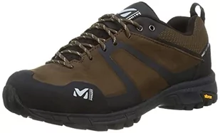 MILLET Męskie buty trekkingowe ze skóry GTX M, Skóra brązowy - 45 EU - Buty trekkingowe męskie - miniaturka - grafika 1