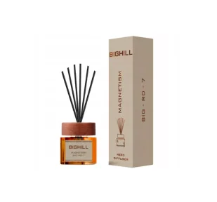 Ekskluzywny Zapach EYFEL BIGHILL MAGNETISM 120ml - Zapachy do domu - miniaturka - grafika 1