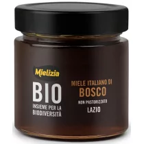 Miód nektarowo-spadziowy leśny BIO 300 g Mielizia - Miód - miniaturka - grafika 1