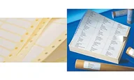 Dodatki do drukarek i skanerów - Avery T 4811 500 3000 etykiety do Computer adhésives. 48,8 drukarka igłowa X 125 MM T4811-500 - miniaturka - grafika 1