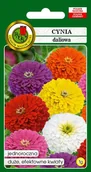 Nasiona i cebule - Cynia daliowa mieszana 1 g PNOS - miniaturka - grafika 1