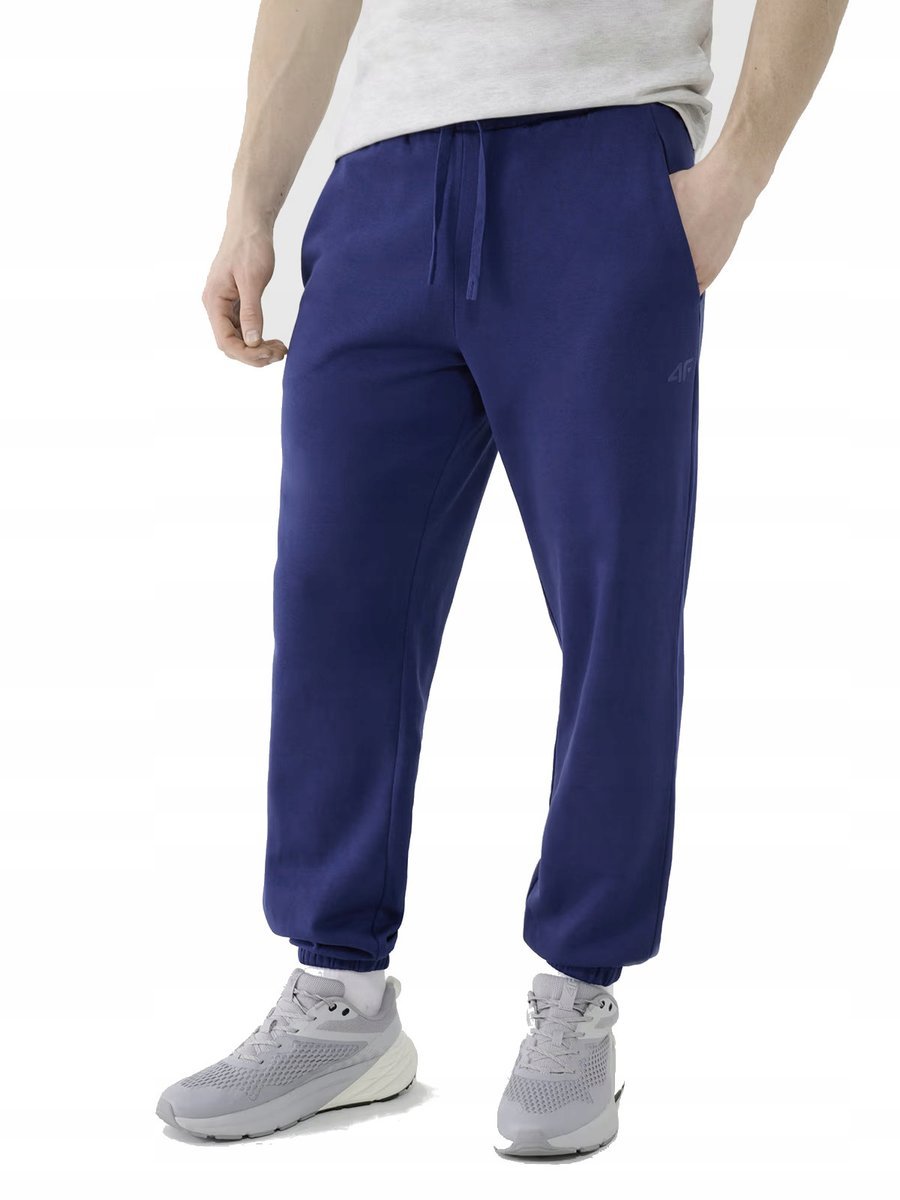 Męskie spodnie dresowe 4F TROM1139 031S 3XL