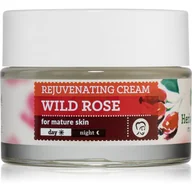Kremy do twarzy - Farmona Herbal Care Wild Rose krem ujędrniający o działaniu przeciwzmarszczkowym 50 ml - miniaturka - grafika 1