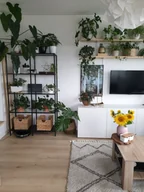 Dywany - Dywan BERBER ASILA B5970 krem / brąz Frędzle berberyjski marokański shaggy beżowy 140x190 cm - miniaturka - grafika 1