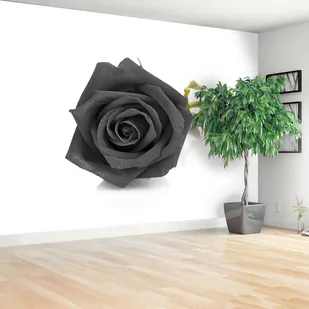 Fototapeta Czarna róża - Fototapety - miniaturka - grafika 1