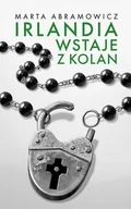 Felietony i reportaże - Irlandia wstaje z kolan - miniaturka - grafika 1