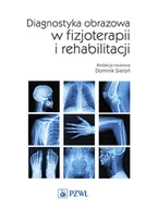 E-booki - nauka - Diagnostyka obrazowa w fizjoterapii i rehabilitacji - miniaturka - grafika 1