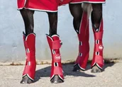 Akcesoria jeździeckie - Horseware Ireland Ochraniacze transportowe AMIGO - HORSEWARE - red/white/green/black - miniaturka - grafika 1