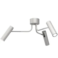 Lampy sufitowe - Lampa sufitowa z szaro-srebrnymi spotami LX 289 z serii AXION - miniaturka - grafika 1