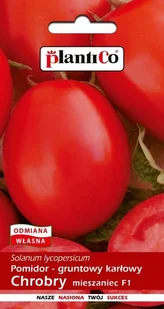 Pomidor gruntowy Chrobry F1 0.5 g PLANTICO - Nasiona i cebule - miniaturka - grafika 1
