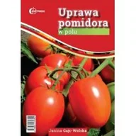 Rośliny i zwierzęta - Hortpress Uprawa pomidora w polu HORTPRESS - miniaturka - grafika 1