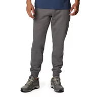 Spodnie sportowe męskie - Spodnie Columbia CSC Logo Fleece Jogger II 1911601025 - szare - miniaturka - grafika 1