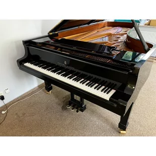 STEINWAY &amp; SONS D-274 - 1967 Hamburg - oryginalny stan akustyki - Instrumenty klawiszowe - miniaturka - grafika 1