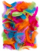 PARTY WORLD Piórka do dekoracji, wypełnienia balonów, mix kolorów PIOR/2819