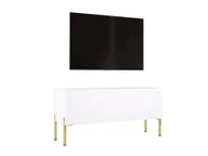Szafki RTV - Szafka pod telewizor w kolorze białym matowym / białym błyszczącym z nogami w kolorze złotym, A: szer: 100 cm cm, wys: 52 cm, gł: 32 cm. Meble pod telewizor, stolik pod telewizor, ława pod telewizor - miniaturka - grafika 1
